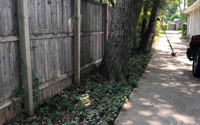 Photo of Trey M.'s yard after getting landscaping in Mabank, TX