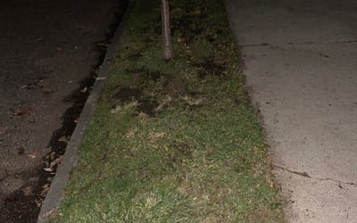 Photo of Douglas W.'s yard after getting landscaping in Raymond, OH
