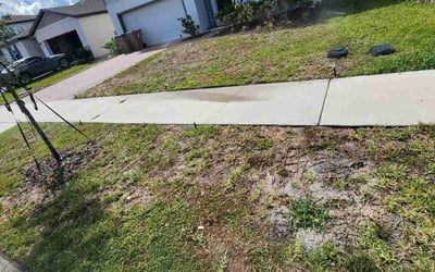 Photo of Amy W.'s yard after getting landscaping in Gotha, FL