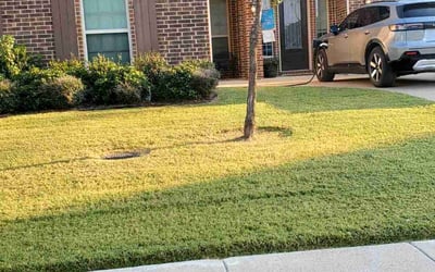 Photo of Becky B.'s yard after getting landscaping in Wylie, TX