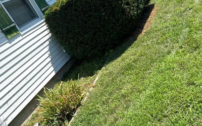 Photo of Tekeya H.'s yard after getting lawn care in Coventry, RI