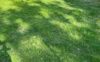 Photo of Kara R.'s yard after getting landscaping in Shelburne, VT
