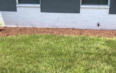 Photo of Corey H.'s yard after getting tree care in San Antonio, FL