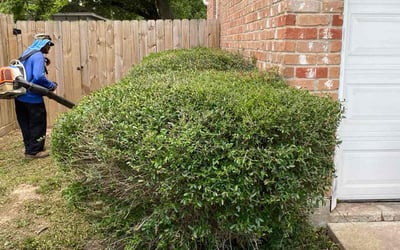 Photo of Lisa W.'s yard after getting landscaping in New Ulm, TX