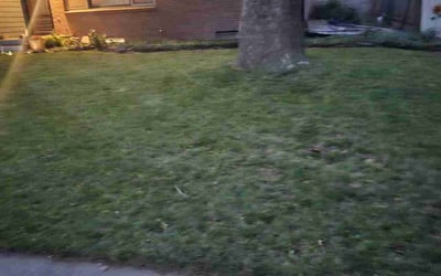 Photo of Sarah L.'s yard after getting landscaping in Lincoln, NE