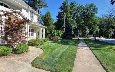 Photo of Sarah B.'s yard after getting lawn care in Bay Village, OH