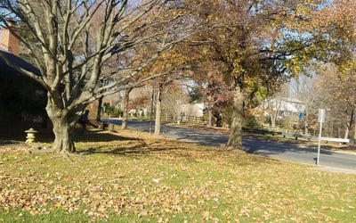 Photo of Glenn M.'s yard after getting landscaping in Thurmont, MD
