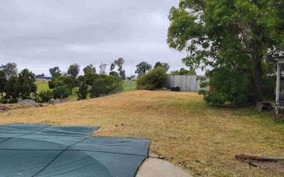 Photo of Jennifer F.'s yard after getting landscaping in La Jolla, CA