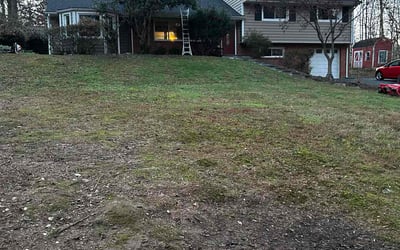 Photo of Ron B.'s yard after getting tree care in Rixeyville, VA