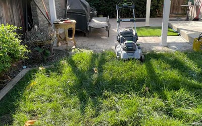 Photo of Deanna A.'s yard after getting tree care in Truckee, CA
