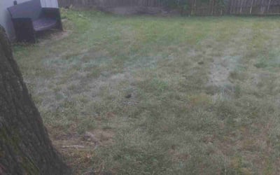 Photo of Amanda H.'s yard after getting landscaping in Glencoe, KY