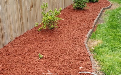 Photo of Kelley H.'s yard after getting landscaping in Windsor, VA