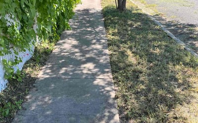 Photo of Susan M.'s yard after getting landscaping in Ingleside, TX