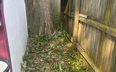 Photo of Kristen C.'s yard after getting landscaping in Elyria, OH