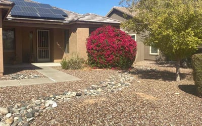 Photo of Martha R.'s yard after getting tree care in Surprise, AZ