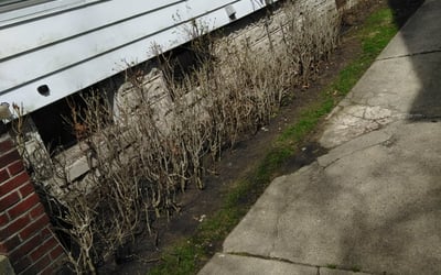 Photo of Megan J.'s yard after getting landscaping in Spring Lake, MI