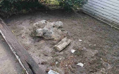 Photo of Adeyinka Y.'s yard after getting landscaping in Danciger, TX