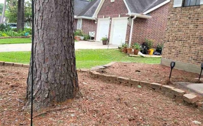 Photo of David P.'s yard after getting landscaping in Spring, TX