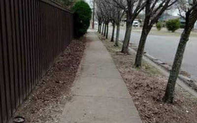 Photo of Yanette F.'s yard after getting tree care in Kingwood, TX