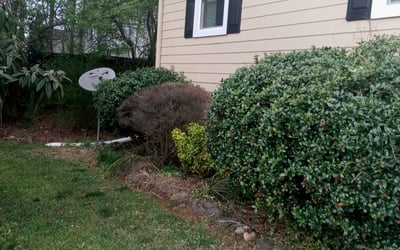Photo of Ashley E.'s yard after getting landscaping in Clarkdale, GA