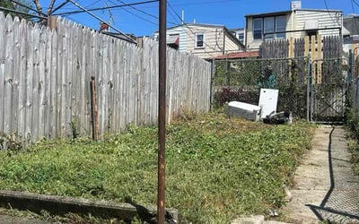 Photo of Nitza L.'s yard after getting tree care in Easton, PA