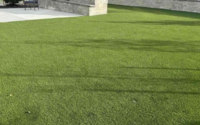 Photo of Laura P.'s yard after getting tree care in Golden, CO