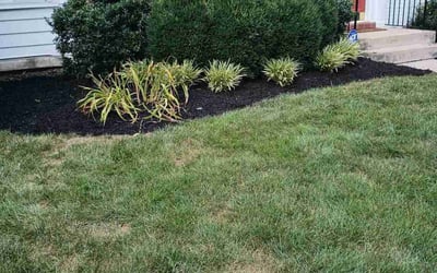 Photo of Cindy B.'s yard after getting landscaping in California, KY