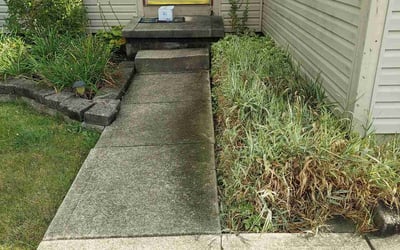 Photo of Linda B.'s yard after getting landscaping in Murray City, OH