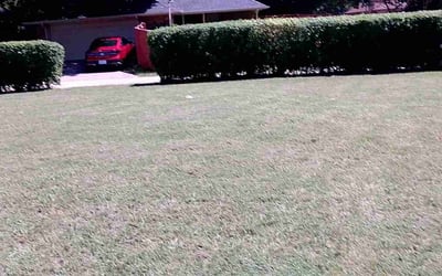 Photo of Loretta J.'s yard after getting landscaping in Duncanville, TX