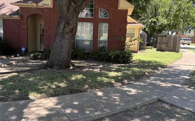 Photo of Dwight S.'s yard after getting landscaping in Cedar Hill, TX