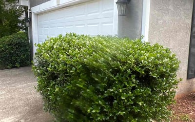 Photo of Kenneth P.'s yard after getting landscaping in Stockbridge, GA