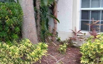 Photo of Juanita T.'s yard after getting landscaping in Grant, FL