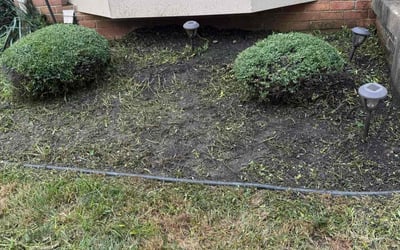 Photo of Ashley T.'s yard after getting landscaping in Vienna, VA