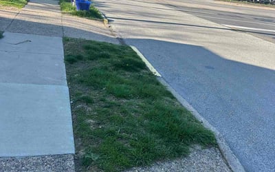 Photo of Henrietta O.'s yard after getting tree care in Warminster, PA
