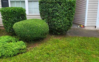 Photo of Brenda G.'s yard after getting landscaping in Covington, GA