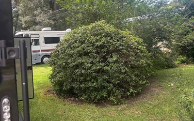 Photo of Sheila P.'s yard after getting landscaping in Century, FL