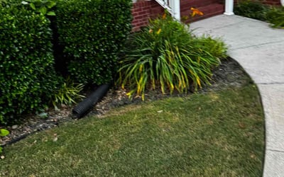 Photo of Ruth D.'s yard after getting landscaping in Gay, GA