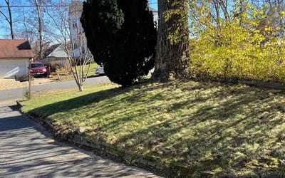 Photo of Jessica W.'s yard after getting landscaping in Charles Town, WV