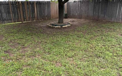 Photo of Melanie D.'s yard after getting landscaping in Christine, TX