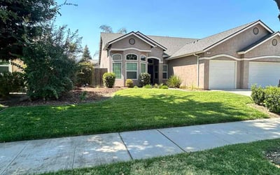 Photo of Merna M.'s yard after getting lawn care in Visalia, CA