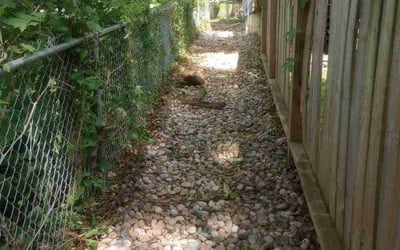 Photo of Sandi P.'s yard after getting landscaping in Waverly, MO