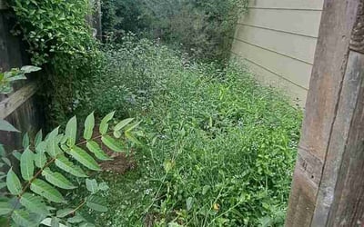 Photo of Kim L.'s yard after getting landscaping in Goddard, KS