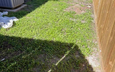 Photo of Jose A.'s yard after getting landscaping in Taft, TX