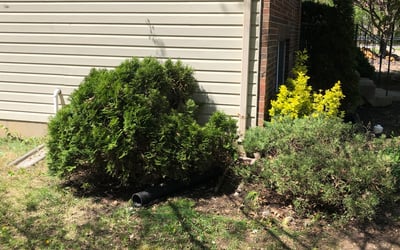 Photo of Stephanie M.'s yard after getting landscaping in Owings, MD