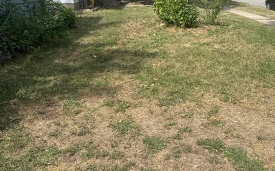 Photo of Deanna D.'s yard after getting landscaping in Braham, MN