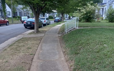 Photo of Michael L.'s yard after getting landscaping in Mc Kenney, VA