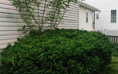 Photo of Lynn J.'s yard after getting landscaping in Sewickley, PA