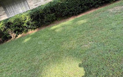 Photo of Robert H.'s yard after getting landscaping in Shreveport, LA