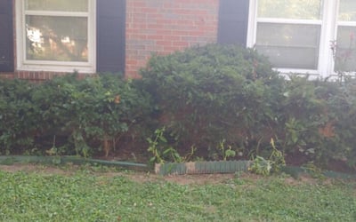 Photo of Joseph M.'s yard after getting landscaping in Floyds Knobs, IN