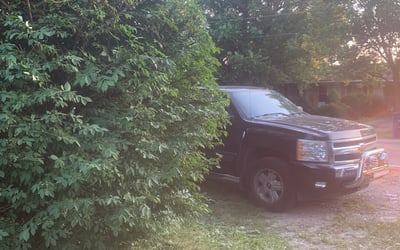 Photo of Andrew M.'s yard after getting landscaping in Union Furnace, OH